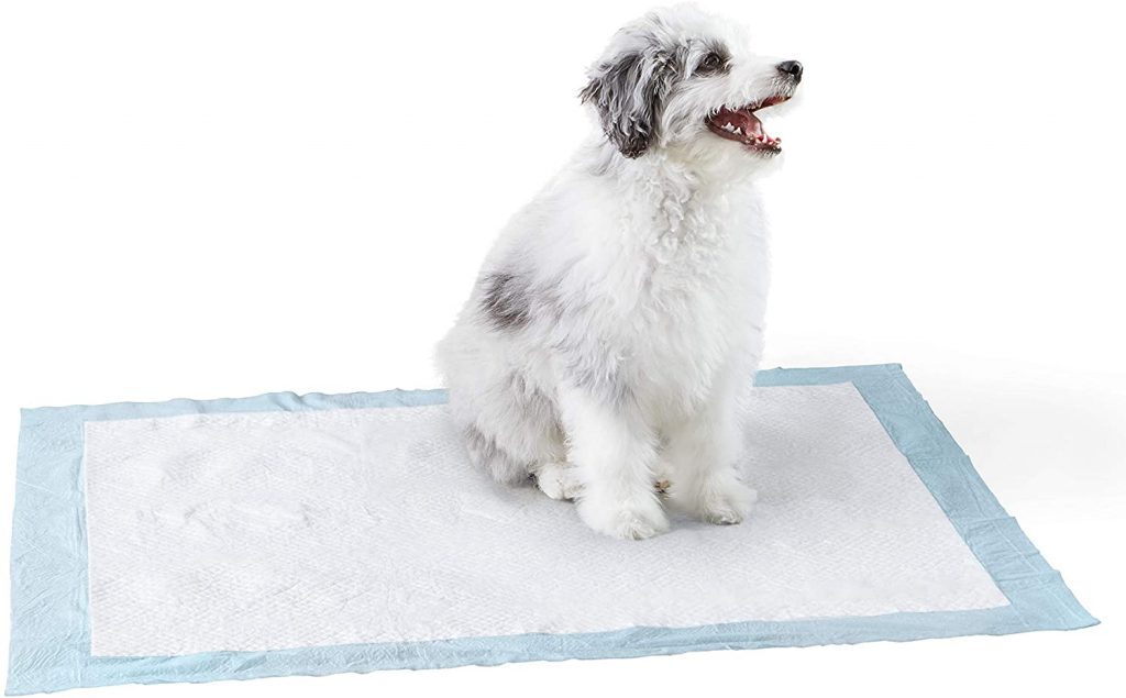 Amazon Basic Dog And Puppy Pads